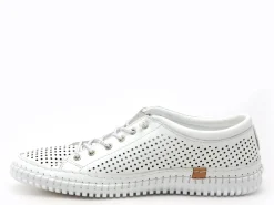 Andrea Conti 0025905 Blanc Baskets Basses Femme