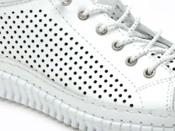 Andrea Conti 0025905 Blanc Baskets Basses Femme