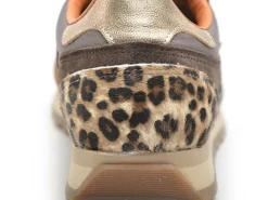 Cetti C1259SRA Marron Baskets Basses Femme