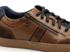 Cotemer TROXY Marron Baskets Basses Homme