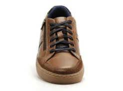 Cotemer TROXY Marron Baskets Basses Homme