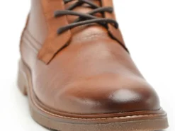 Cotemer URGOLIS Marron Boots et Bottines Homme