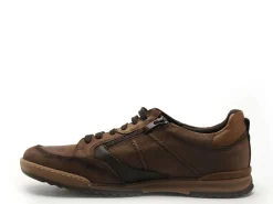 Fluchos Baskets F2273 Marron Baskets Basses Homme