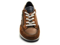 Fluchos F1282 Marron Baskets Basses Homme