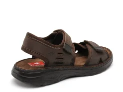 Fluchos F2197 Marron Sandales Homme