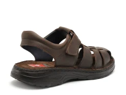 Fluchos F2198 Marron Sandales Homme
