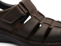 Fluchos F2198 Marron Sandales Homme