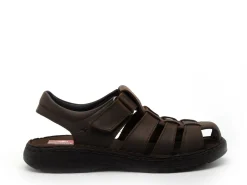 Fluchos F2198 Marron Sandales Homme