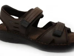Fluchos F2197 Marron Sandales Homme