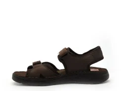 Fluchos F2197 Marron Sandales Homme