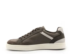 Geox U BALTMOORE U55LDB Gris Baskets Basses Homme