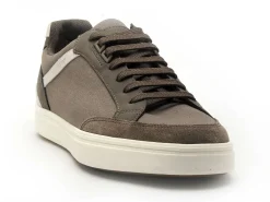 Geox U BALTMOORE U55LDB Gris Baskets Basses Homme