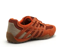 Geox U SNAKE ORIGINAL U55MNA Orange Baskets Basses Homme
