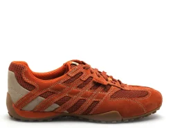 Geox U SNAKE ORIGINAL U55MNA Orange Baskets Basses Homme
