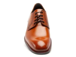 Lloyd CORE PLUS 110 Marron Chaussures de Ville Homme