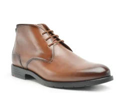 Lloyd 25525 03 Marron Boots et Bottines Homme