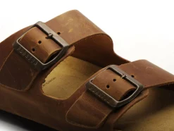 Plakton BARNA 175857 Marron Mules Homme