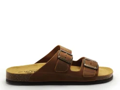 Plakton BARNA 175857 Marron Mules Homme