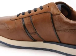 Redskins AFFAIRO Marron Baskets Basses Homme