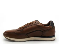 Redskins ASSURE Marron Baskets Basses Homme