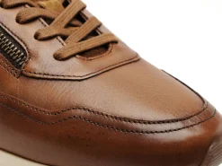 Redskins ASSURE Marron Baskets Basses Homme