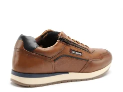 Redskins ASSURE Marron Baskets Basses Homme