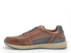 Redskins CALLIAS Marron Baskets Basses Homme