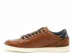 Redskins DECENT Marron Baskets Basses Homme