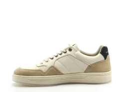 Redskins ZENICA Beige Baskets Basses Homme