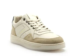 Redskins ZENICA Beige Baskets Basses Homme