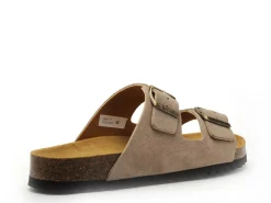 Scholl JULIEN SUEDE Beige Mules Homme
