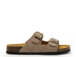 Scholl JULIEN SUEDE Beige Mules Homme